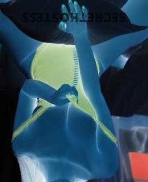23Yrs Old Escort Size 8 53KG 162CM Tall Newcastle Image - 1