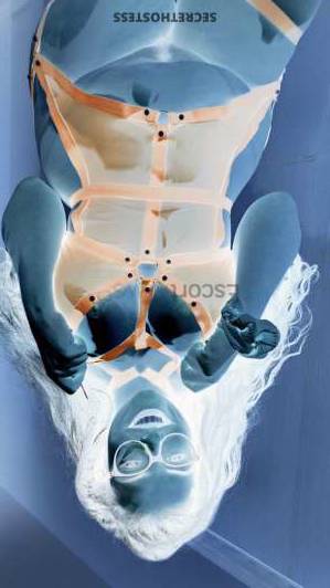 28Yrs Old Escort 90KG 180CM Tall Brussels Image - 2