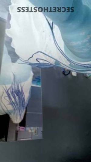 32Yrs Old Escort Cincinnati OH Image - 1