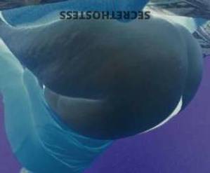 Ashley 26Yrs Old Escort Queens NY Image - 6