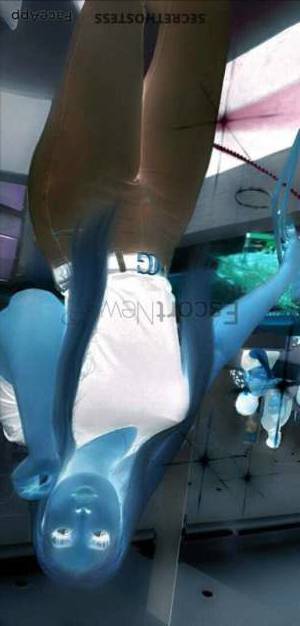 22 year old Escort in Brussels Vanessa Independent Beauty