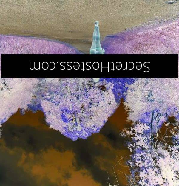 32Yrs Old Escort Size 10 90KG Port Macquarie Image - 1