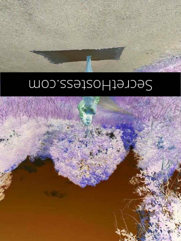 32Yrs Old Escort Size 10 90KG Port Macquarie Image - 10