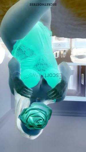 20 year old European Escort in Beirut Sara Agency Beauty