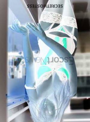 21 year old European Escort in Sydney Ariel, pse