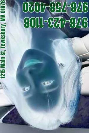 22Yrs Old Escort Lowell MA Image - 3