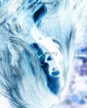 22Yrs Old Escort 51KG 170CM Tall Yerevan Image - 2