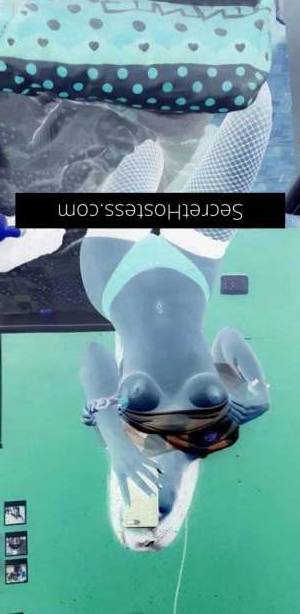 23 year old Escort in Sydney Sofia Busty Babe for Ultimate Fun