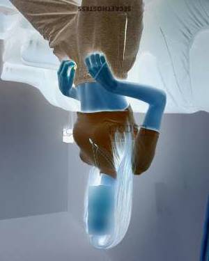 24 year old European Escort in Warsaw Independent Model Caroline