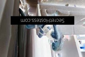 25 year old Escort in Punchbowl Sydney Captivating GFE