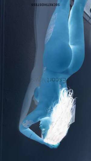 25Yrs Old Escort Kassel Image - 0