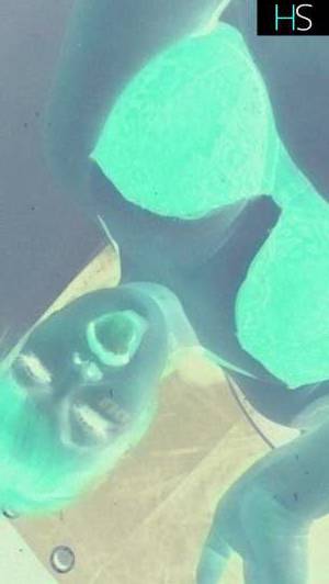 26 year old Caucasian Escort in Winnipeg BBW Baddie Outcall