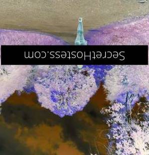 32Yrs Old Escort Size 10 90KG Port Macquarie Image - 1