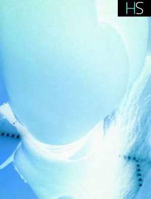 36 year old Escort in Winnipeg Hello