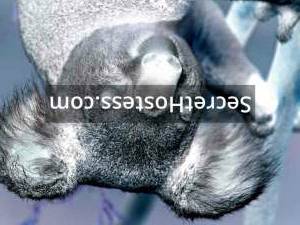 20 year old Romanian Escort in Vienna Antonia, Independent