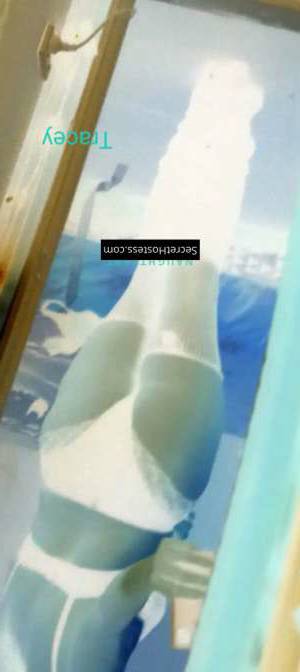 Escort Size 12 177CM Tall Image - 1