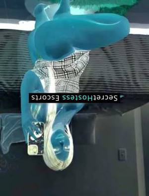 24/7 Sexy Escort in Bismarck ND