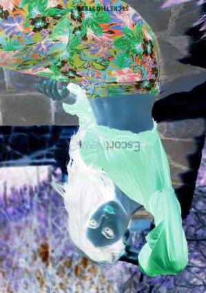 21Yrs Old Escort 50KG 168CM Tall Kuala Lumpur Image - 4