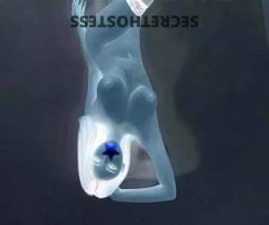 25 year old Korean Escort in Seven Hills Sydney Busty Naughty Massage Fuck