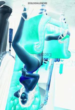 25 year old European Escort in Vienna Luna Agency Vixen