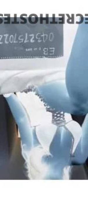 Prostate massage BB BJ New Vist Epping in Sydney
