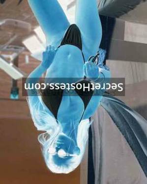 Sofia 22Yrs Old Escort 53KG 156CM Tall Cairo Image - 2