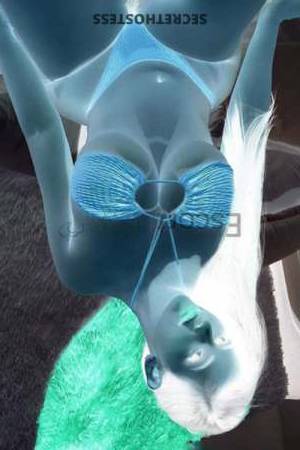 22 year old European Escort in Berlin Brenda Agency Model