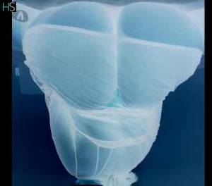 24Yrs Old Escort Dublin Image - 2