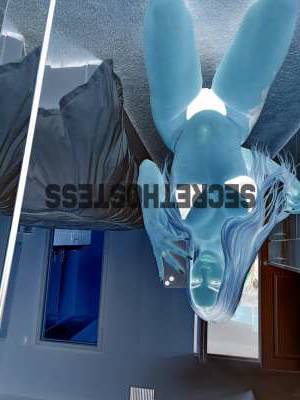 24Yrs Old Escort Miami FL Image - 2