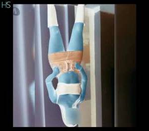 24 year old White Escort in Sao Leopoldo Rio Grande do Sul Unwind with Brunette Beauty Unforgettable Encounters and 