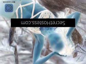 25Yrs Old Escort Sydney Image - 3