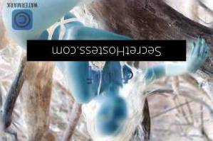 25Yrs Old Escort Sydney Image - 4