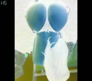 Passionate lover with wet pussy in Goias