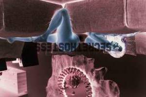 30Yrs Old Escort 66KG 175CM Tall Naples FL Image - 2