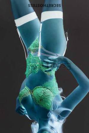 31 year old European Escort in Prague Stefanie Elite Companion