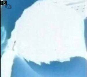 37 year old Escort in Dublin Top Massage Dublin 6