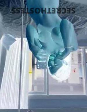 Aaliyah 23Yrs Old Escort Ballina Image - 2