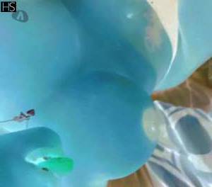 34 year old Italian Escort in Kildare East Coast and Midlands Erotic Massage Eve