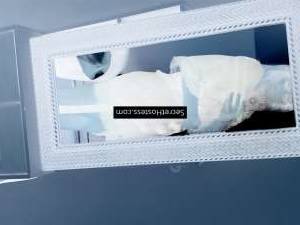 Kaylee 40Yrs Old Escort 50KG 157CM Tall Belleville Image - 1