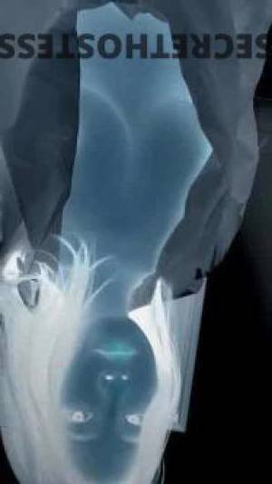 21 year old Escort in Warrnambool Stunning face and body, one week only Warrnambool