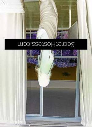 23Yrs Old Escort 166CM Tall Ballina Image - 6