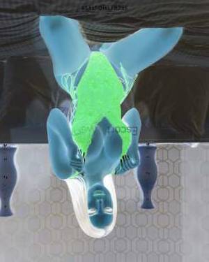 24 year old European Escort in Sarajevo Jasmin, Independent Escort