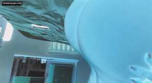 26 year old Escort in Seattle WA Sandrajane345 Real Deal Babe for Wild Fun and Excitement