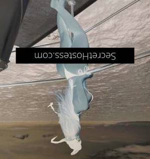 27Yrs Old Escort Size 10 170CM Tall Brisbane Image - 10