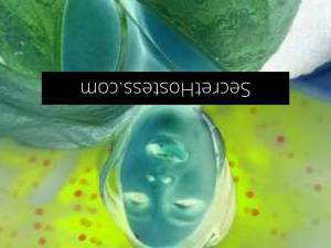 28 year old Escort in Brunswick West Melbourne Kellie outreach programs