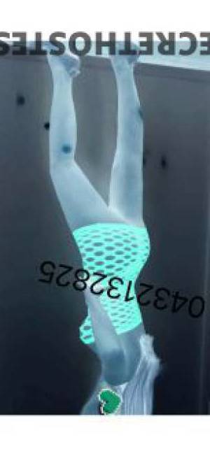 29 year old Asian Escort in Harris Park Sydney Sexy Asian Busty Slim Parramatta Nsw