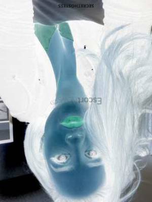 Allison 27Yrs Old Escort 49KG 166CM Tall Denver CO Image - 1