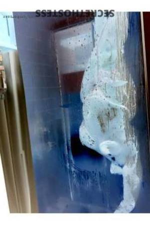 Amber 30Yrs Old Escort Panama City FL Image - 1