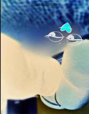 Amber 30Yrs Old Escort Panama City FL Image - 3