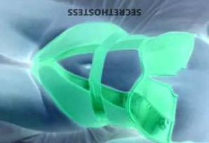 26 year old Escort in Lake Of The Ozarks MO Glamour Dolls